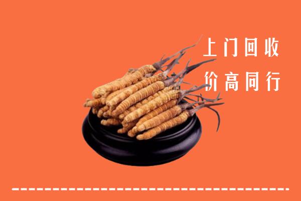 高价求购：海南省乐东县回收散虫草