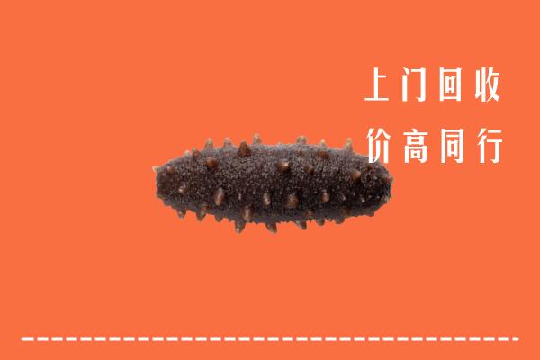海南省乐东县回收海参