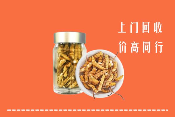 海南省乐东县回收冬虫夏草