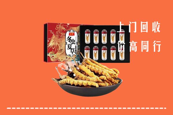 海南省乐东县回收虫草